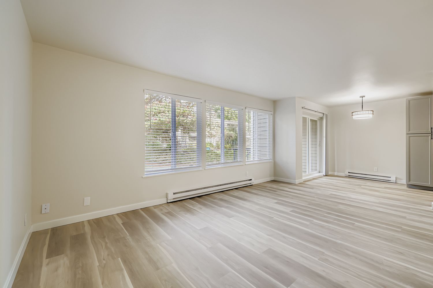 Photo of a large open space living room with plenty of natural lighting