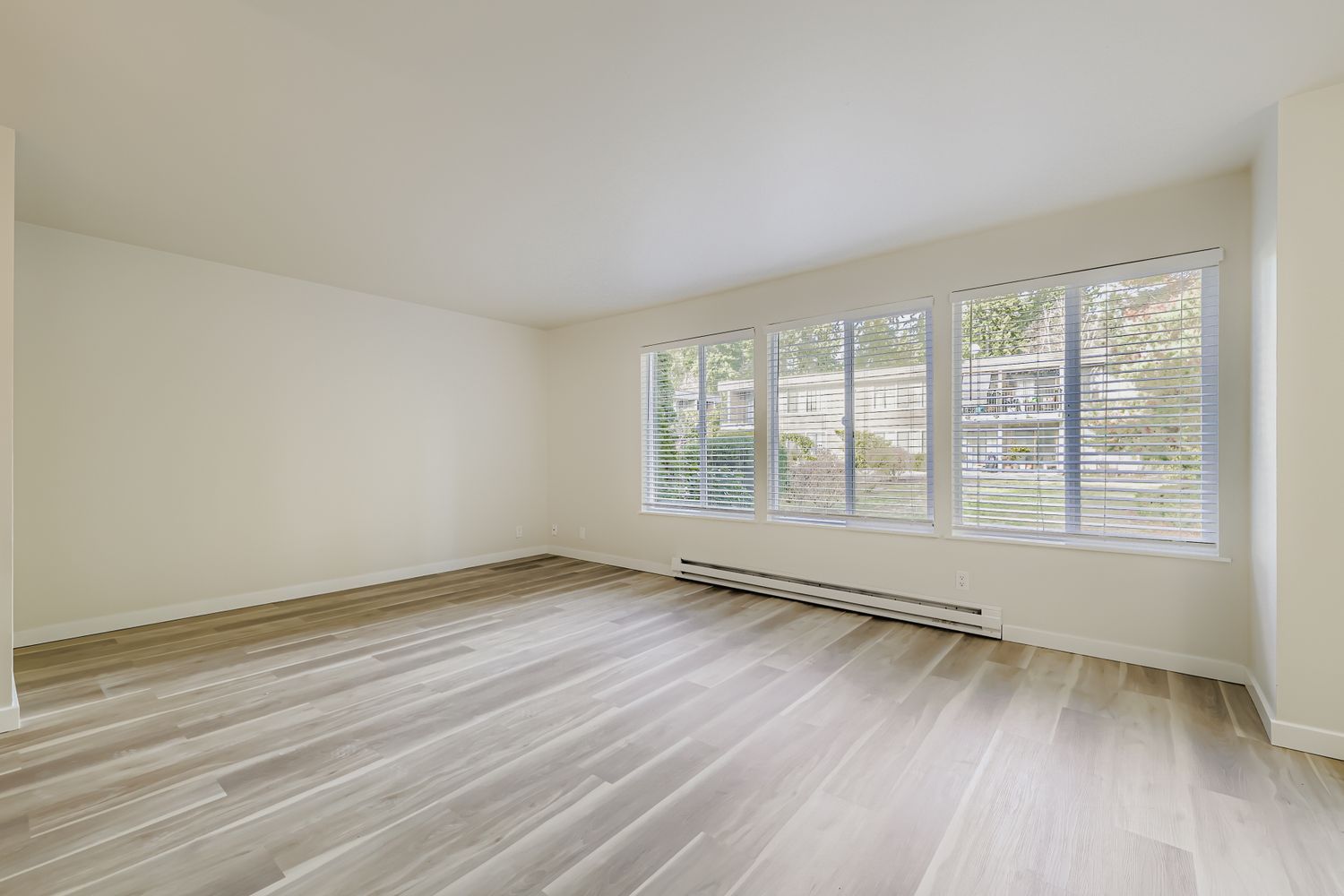 Photo of a large living room with a row of windows