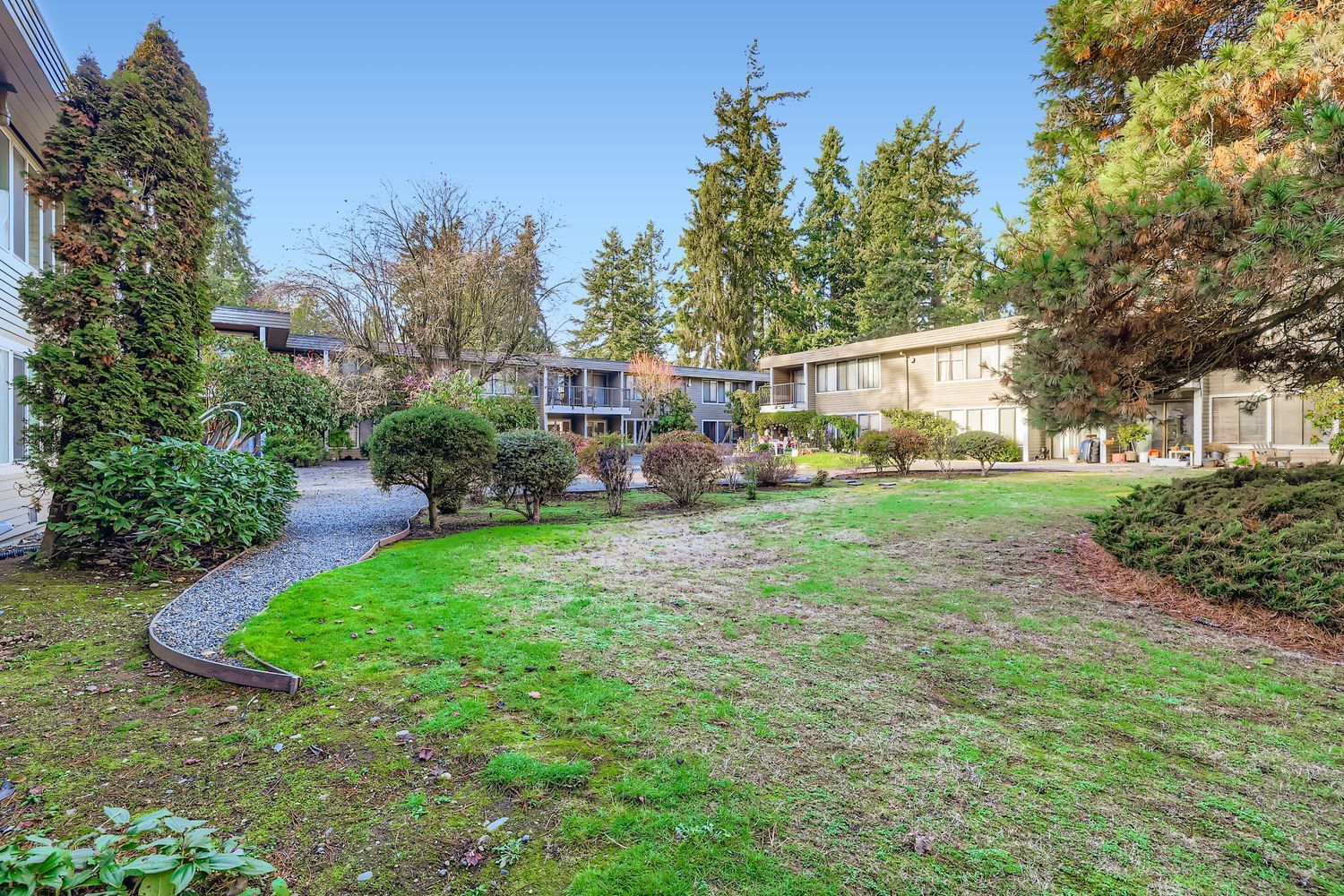 Photo of a courtyard with a large variety of trees and plants and the buildings in the background