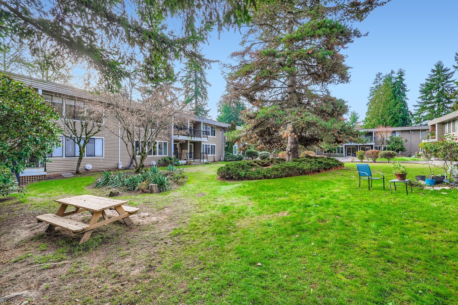 Photo of a park-like setting showing various places to sit in the courtyard