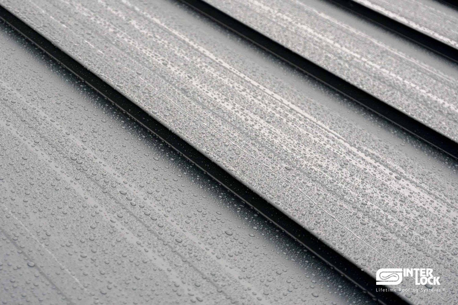 Standing Seam Roof NY