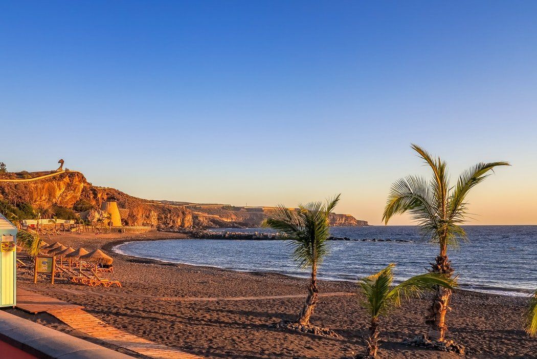 There are palm trees on the beach near the ocean.