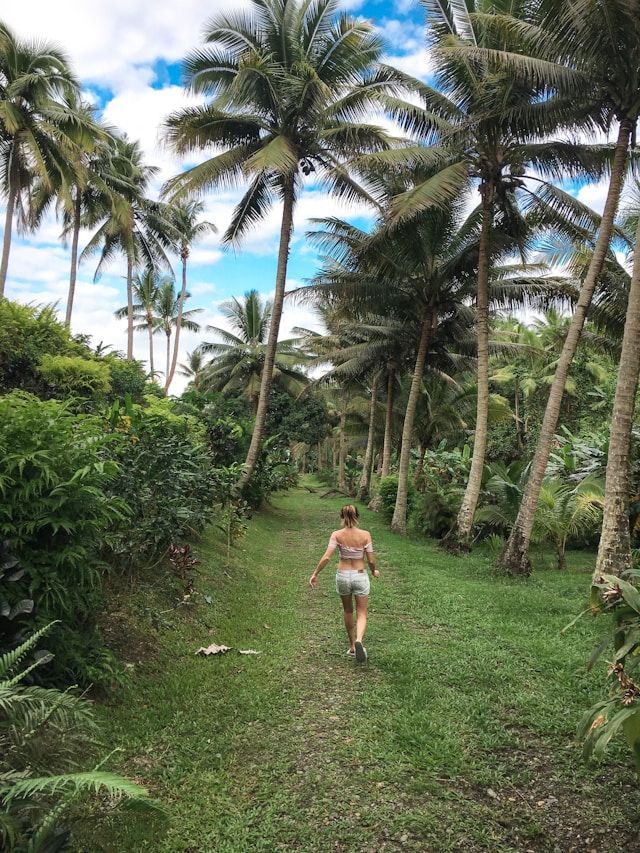 A woman is walking down a path surrounded by palm trees.