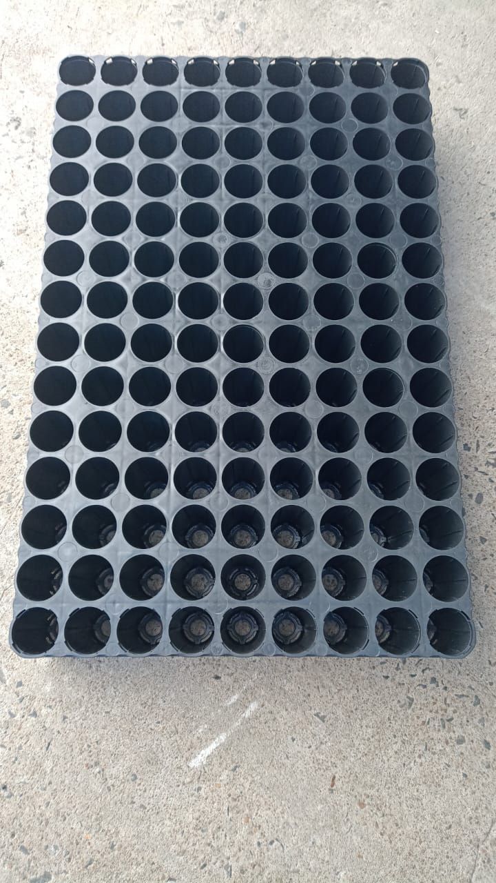 A tray of black plastic cups and a tray of black plastic cups on a white background.