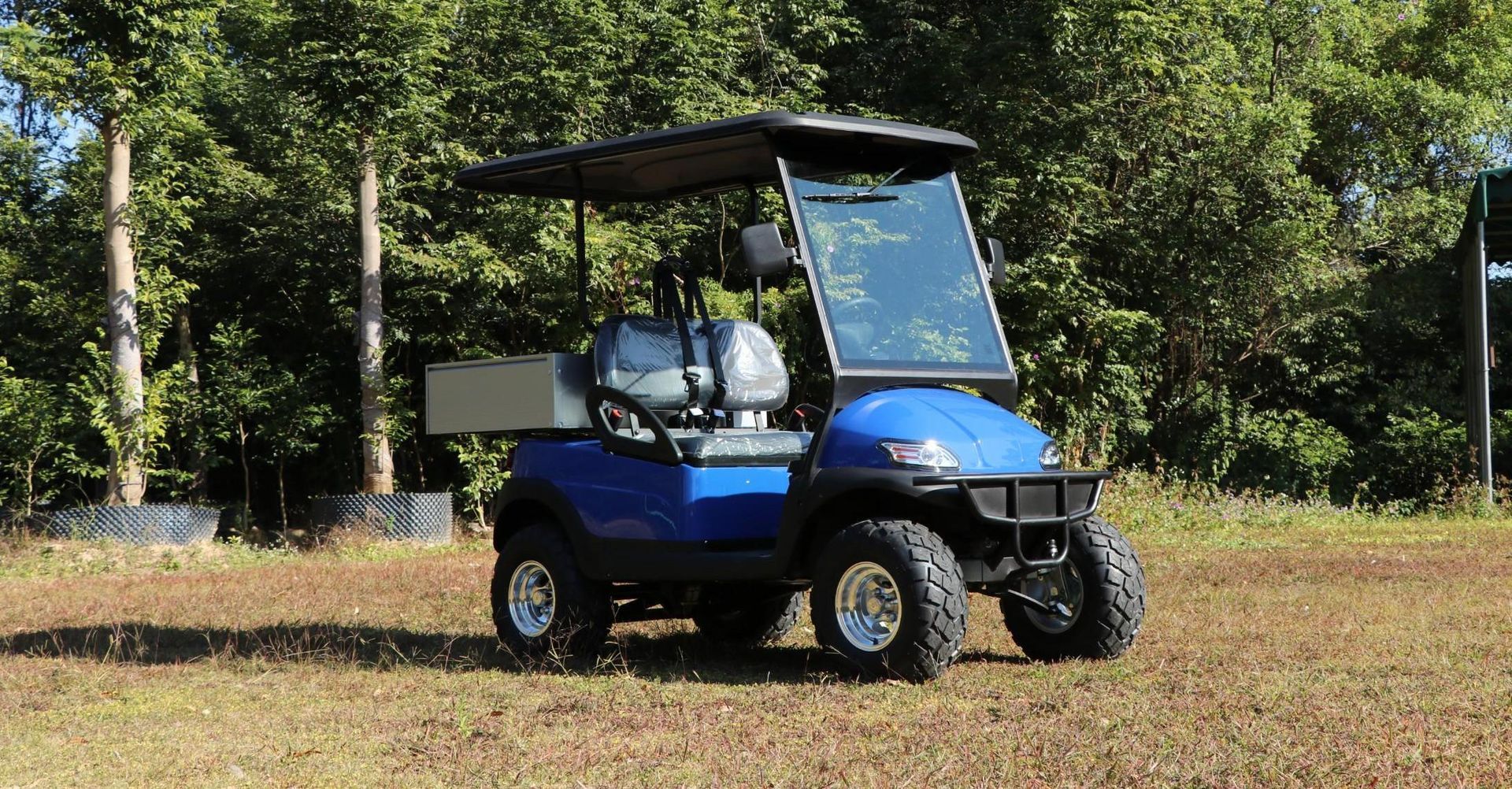 Golf Cart