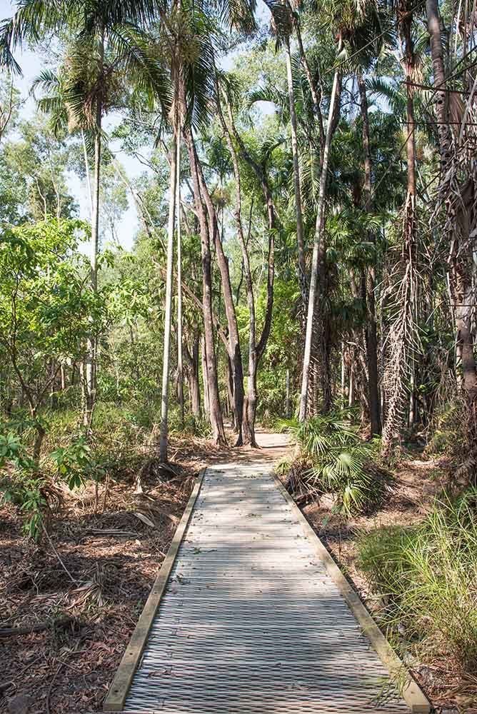 A Wooden Path in the Middle of a Forest — Golf Carts Top End in Howard Springs, NT
