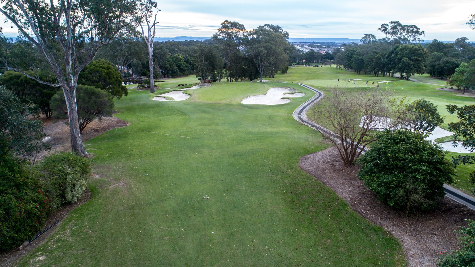 An Aerial View of a Golf Course With Trees and Bushes — Golf Carts Top End in Palmerston, NT