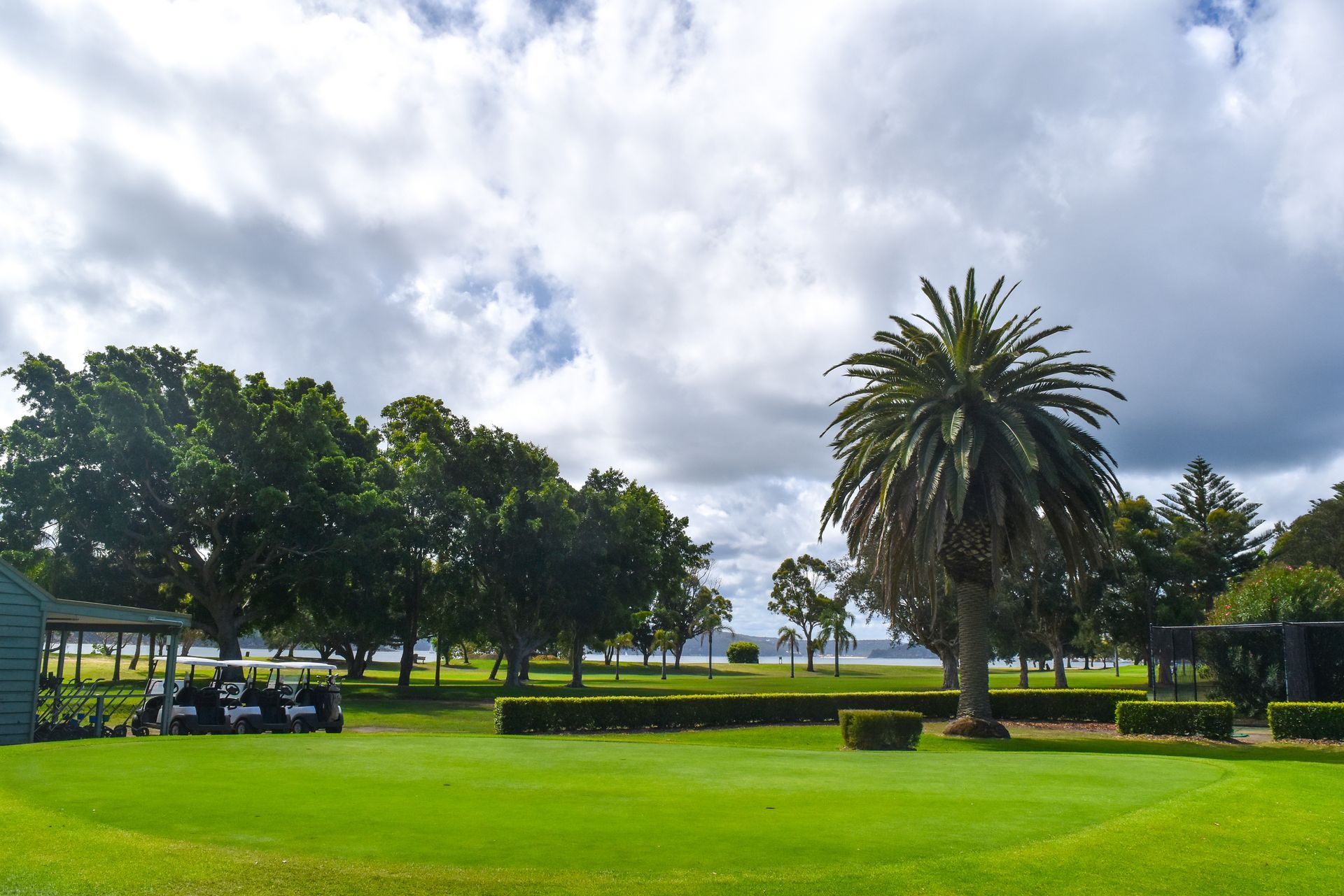 A Golf Course With a Palm Tree in the Middle — Golf Carts Top End in Humpty Doo, NT