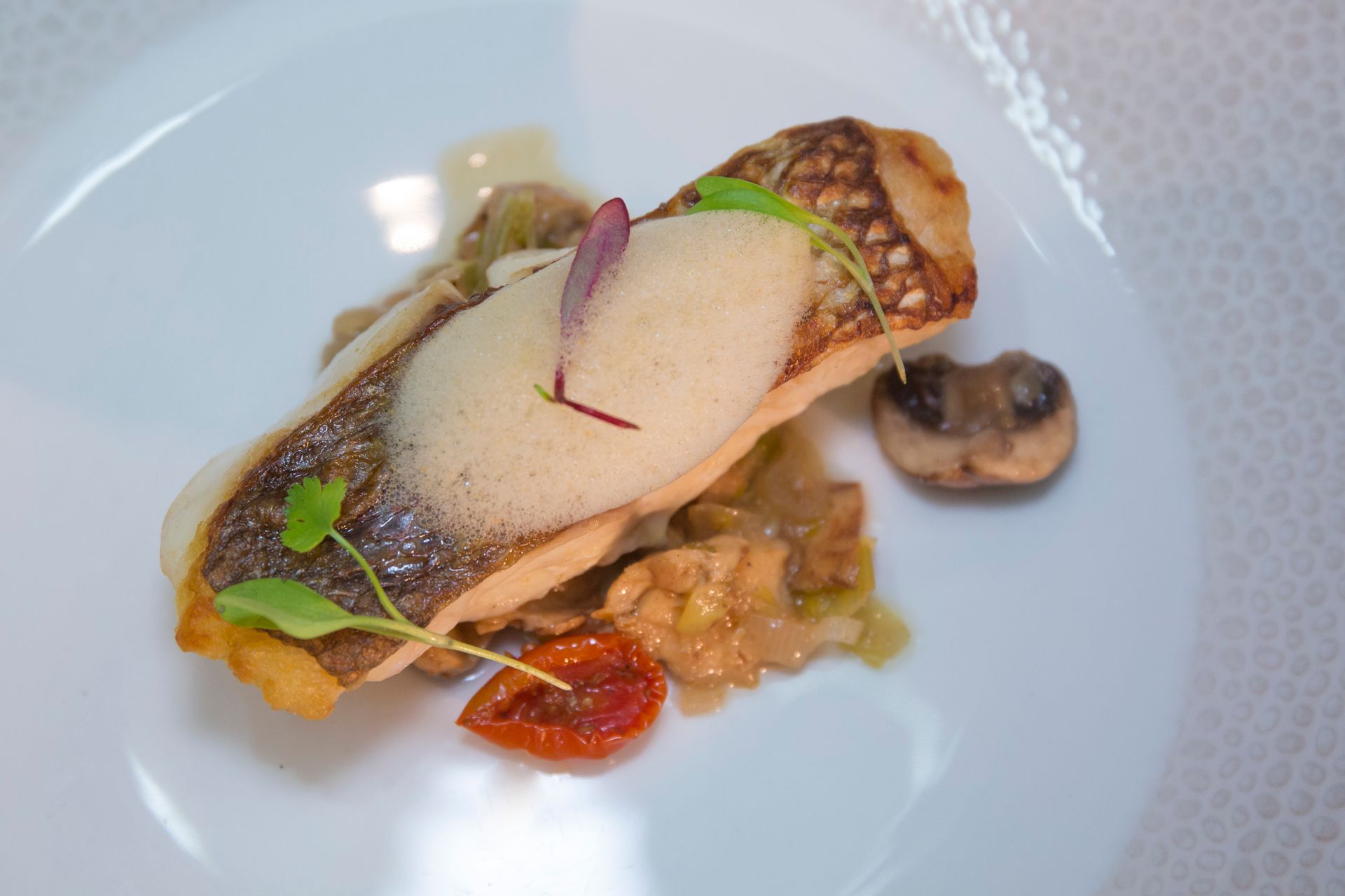Un plato blanco cubierto con un trozo de carne y verduras.