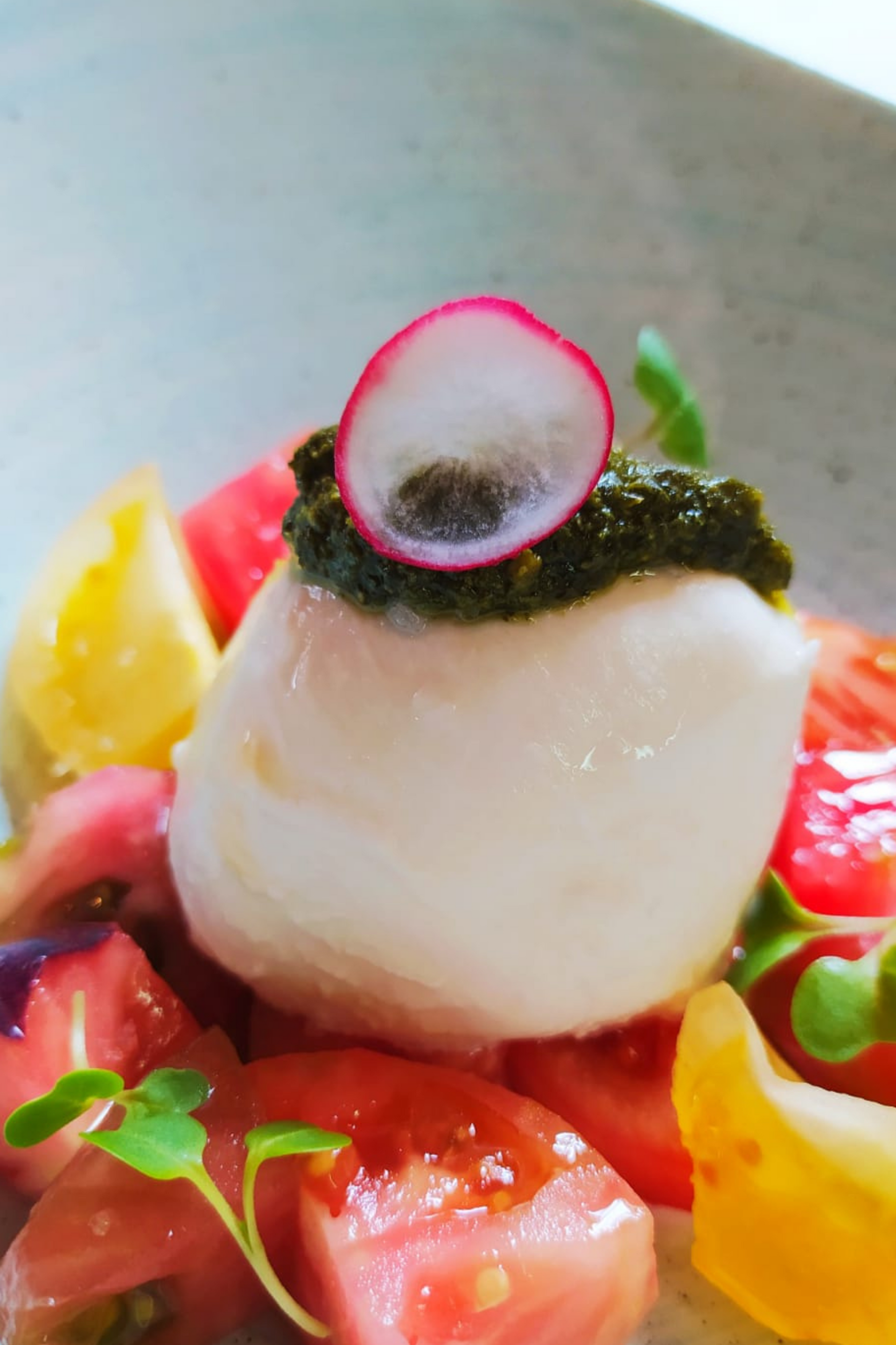 Un primer plano de una ensalada con tomates, mozzarella y rábanos en un plato.