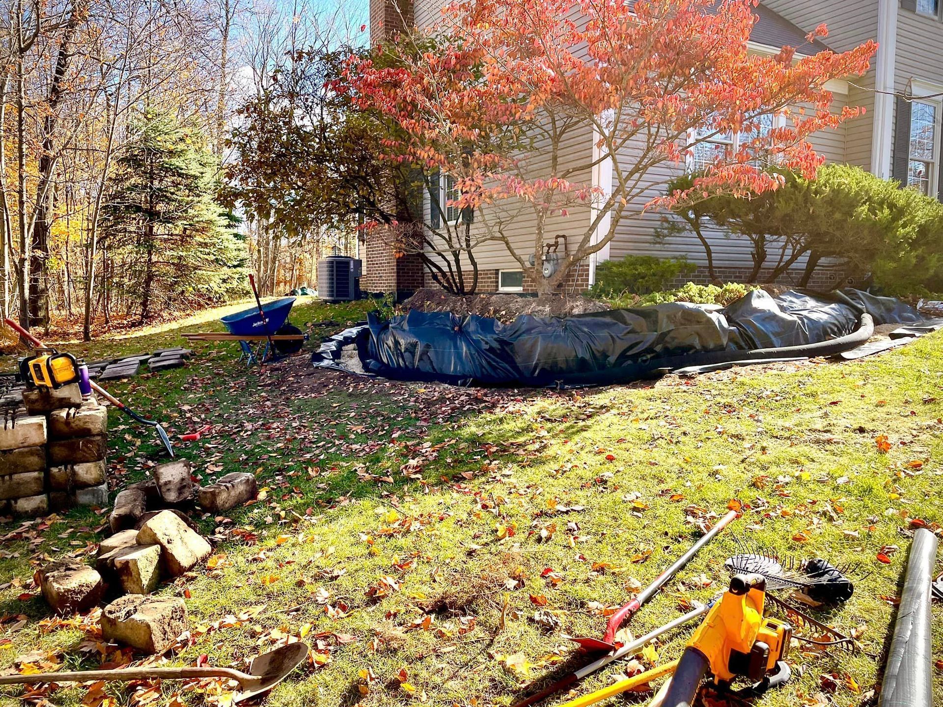 A house is being built in the background and a tree is in the foreground.
