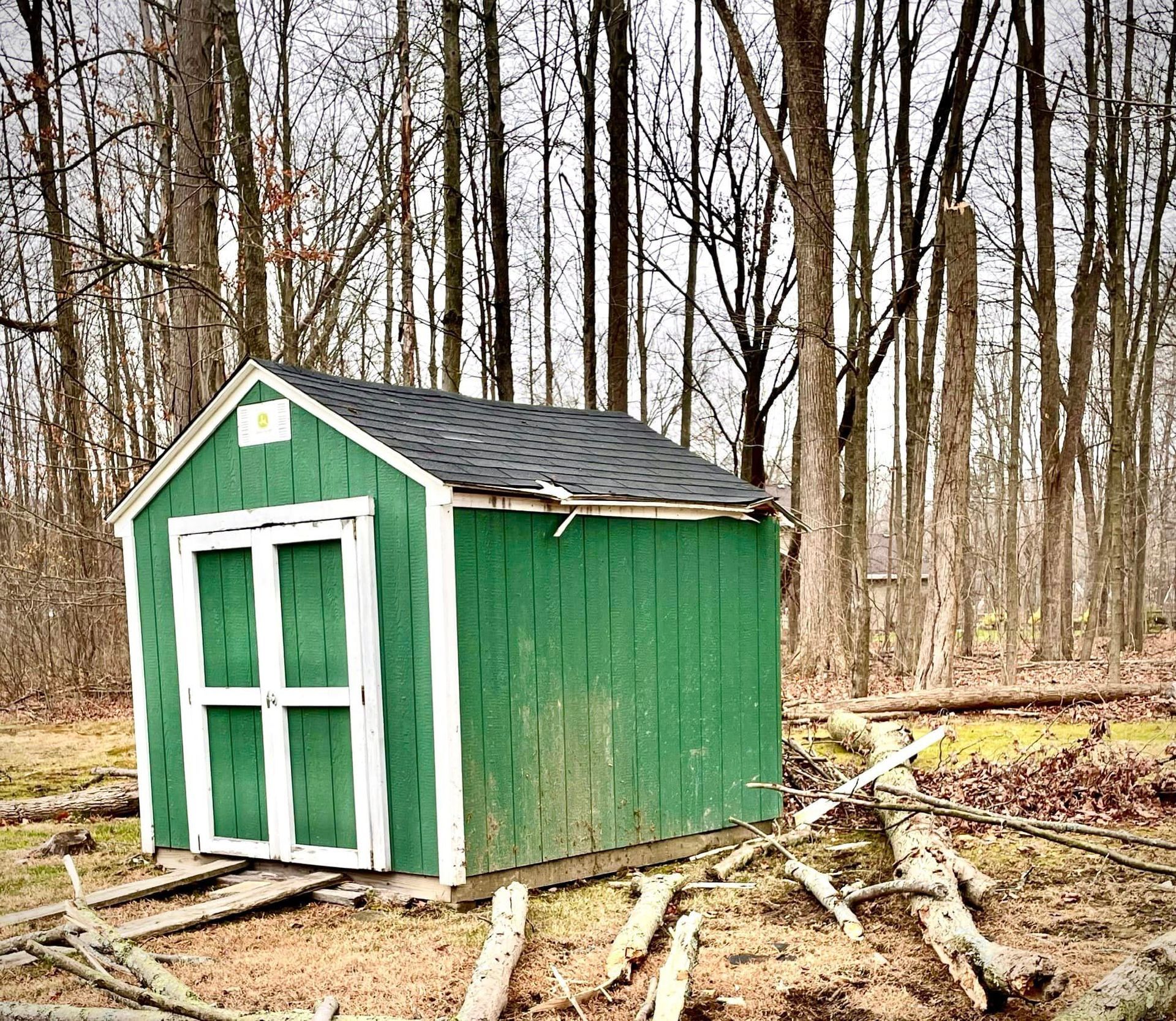 A green and white shed in the middle of a forest.