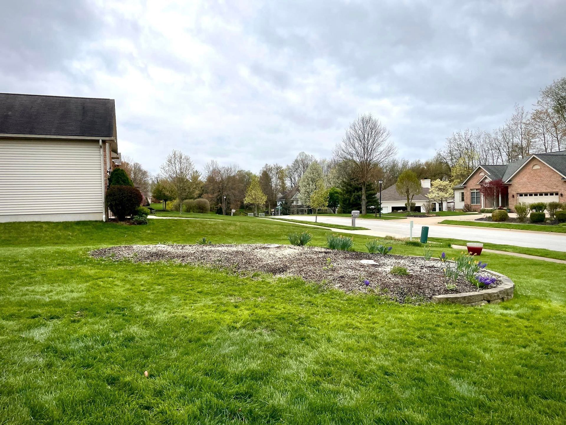 A lush green lawn with a flower bed in the middle of it in a residential neighborhood.