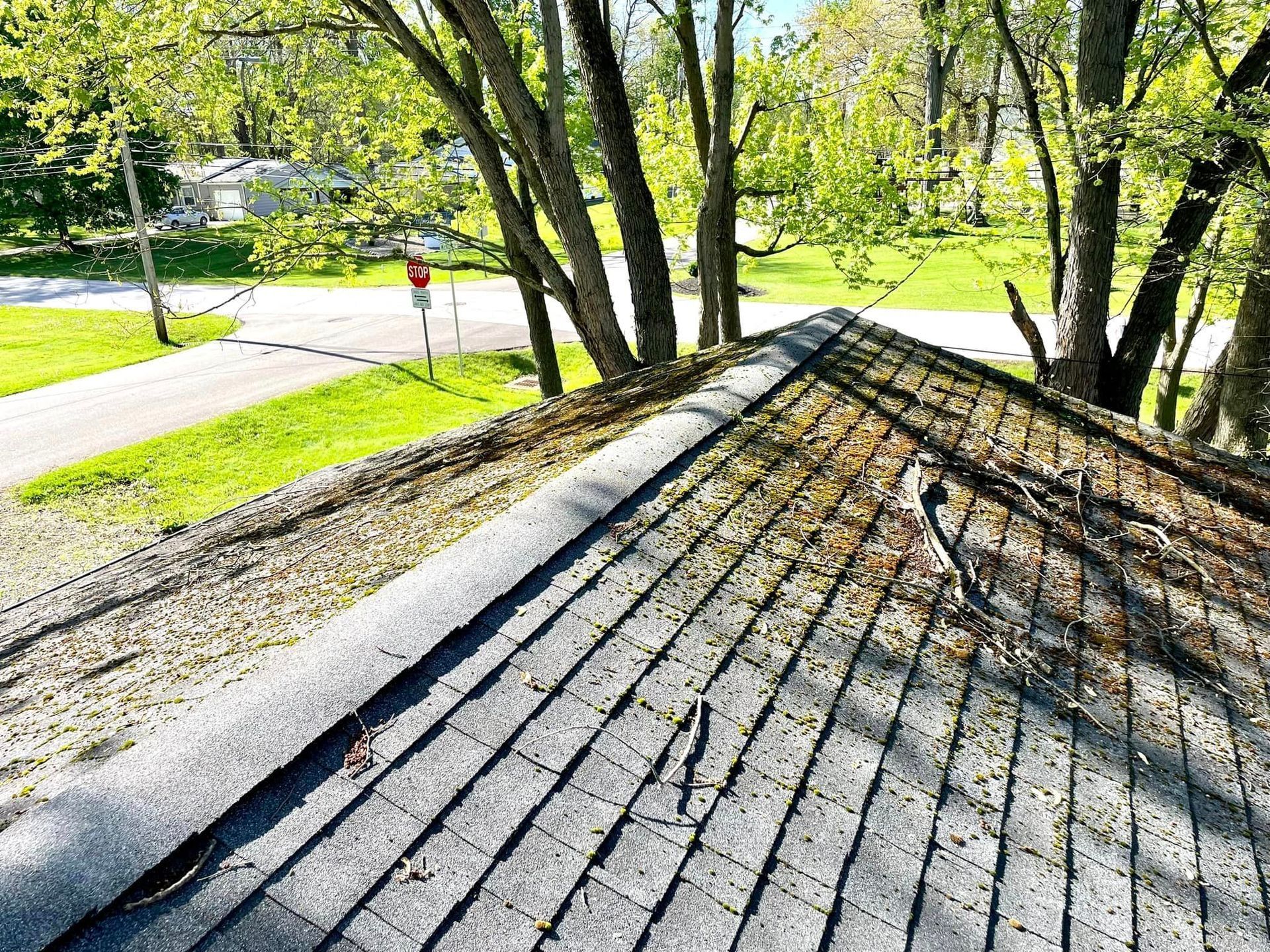 A roof with a lot of leaves on it and trees in the background.
