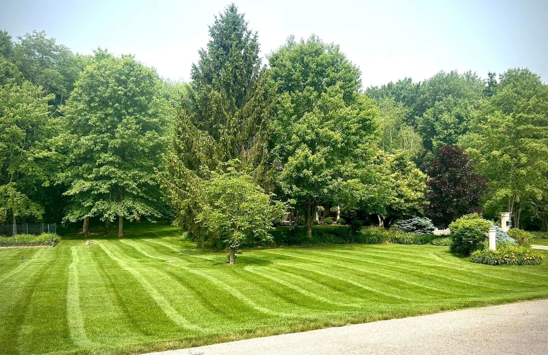 A lush green lawn is surrounded by trees on a sunny day.