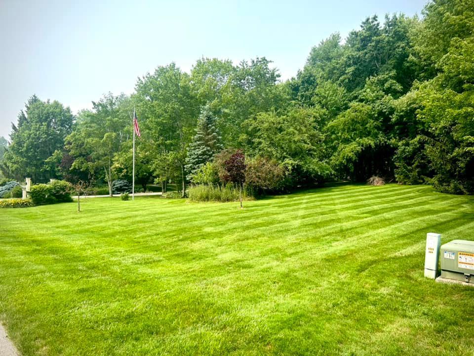 A lush green lawn with trees and a flag in the background.