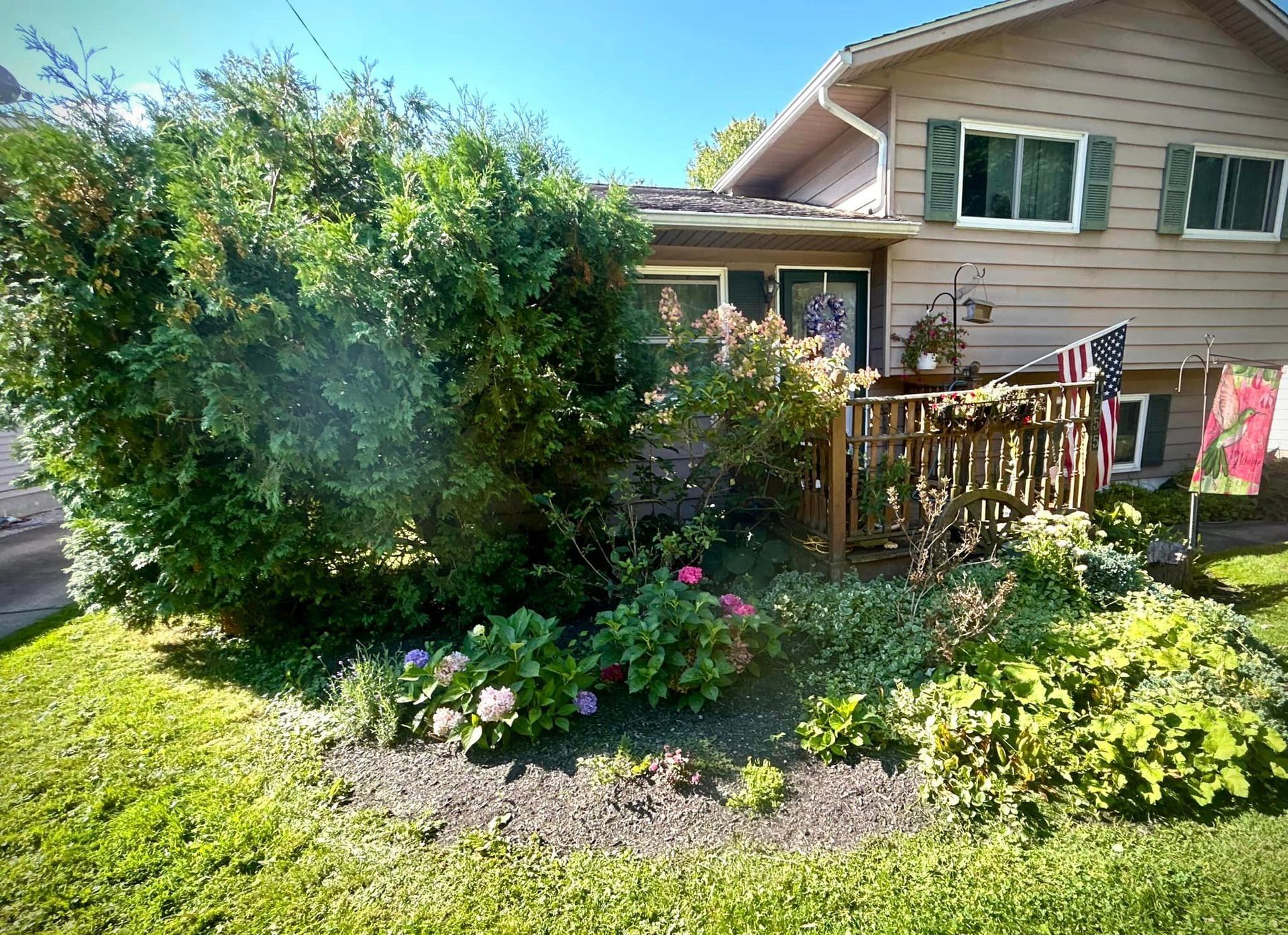 A house with a lot of bushes and flowers in front of it