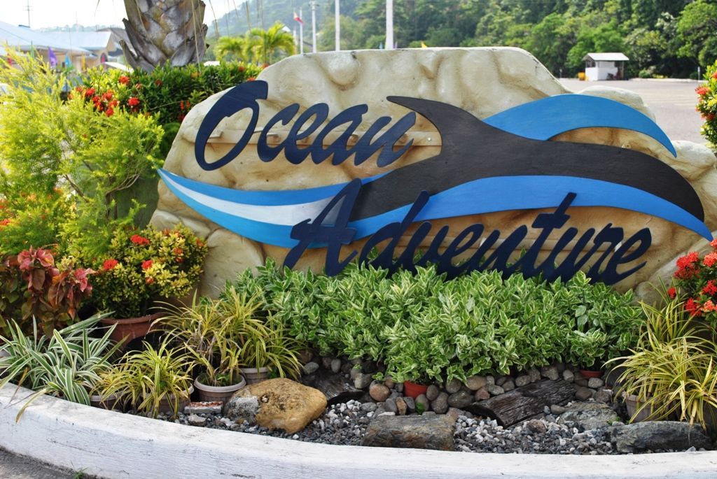 A stone sign for Ocean Adventure featuring a dark blue dolphin silhouette, set among lush tropical plants outdoors.