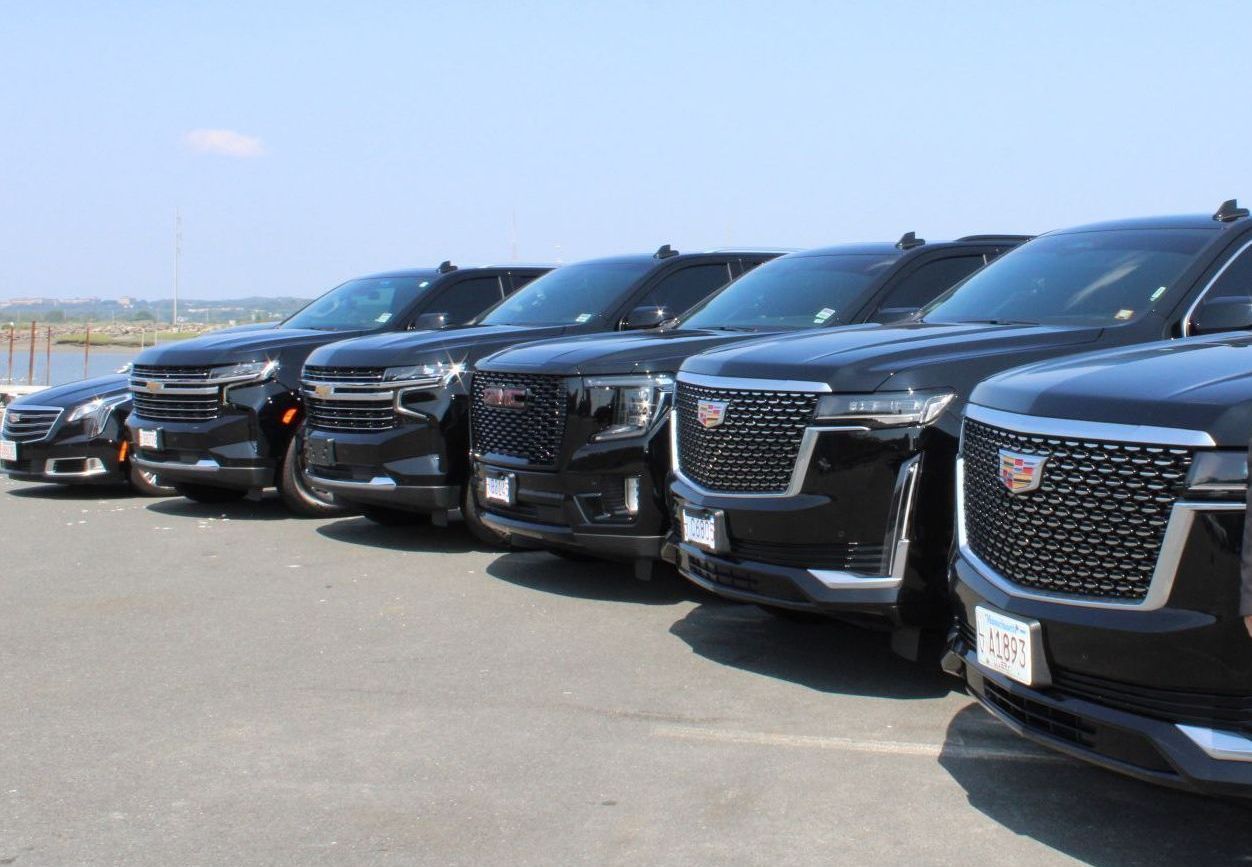 A row of black cars are parked in a parking lot