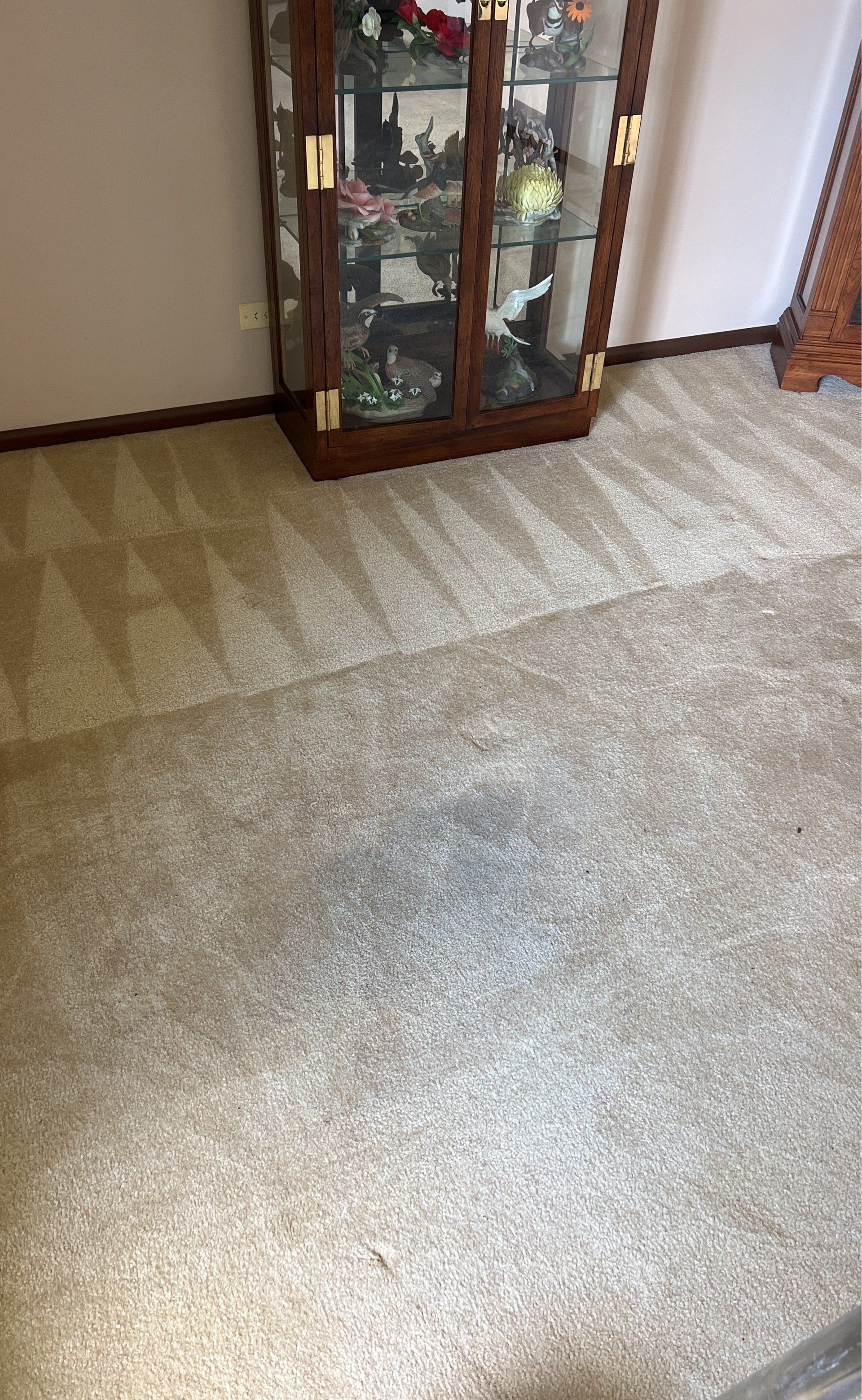 About Us SimplyPure Cleaning Company Carpet cleaning in Pingree Grove