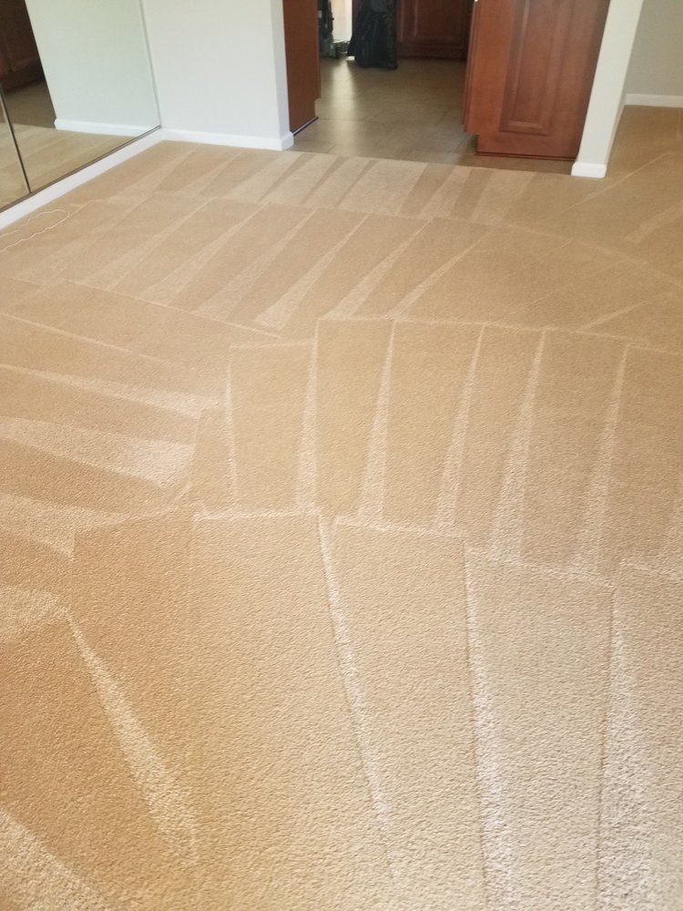 A room with a carpeted floor and a mirror.