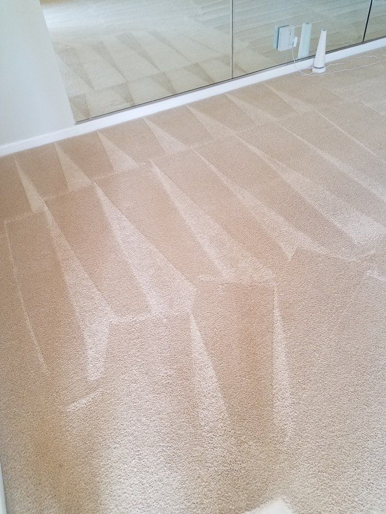 A beige carpeted floor in a room with a mirror.