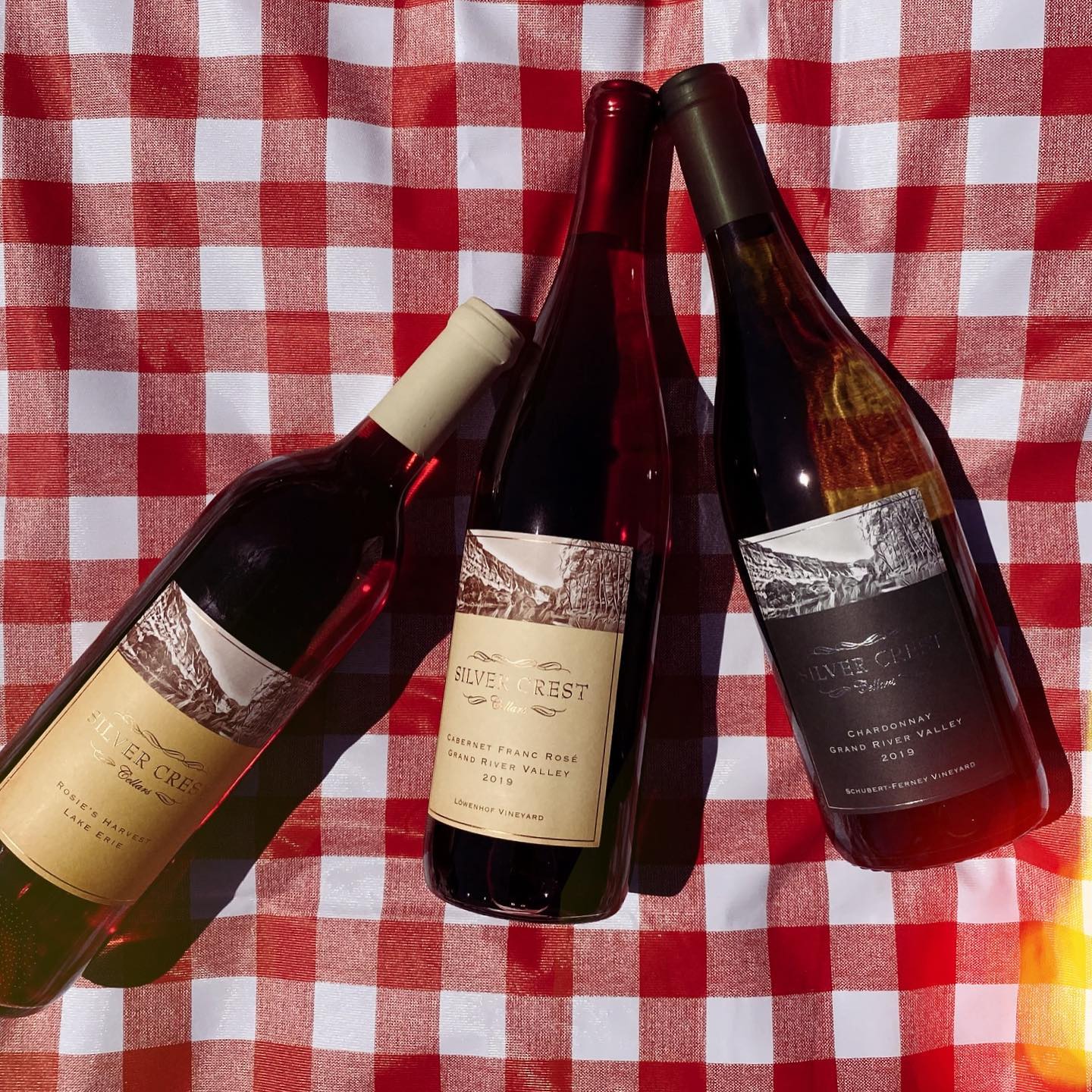 Three red wine bottles on a red and white checkered tablecloth.