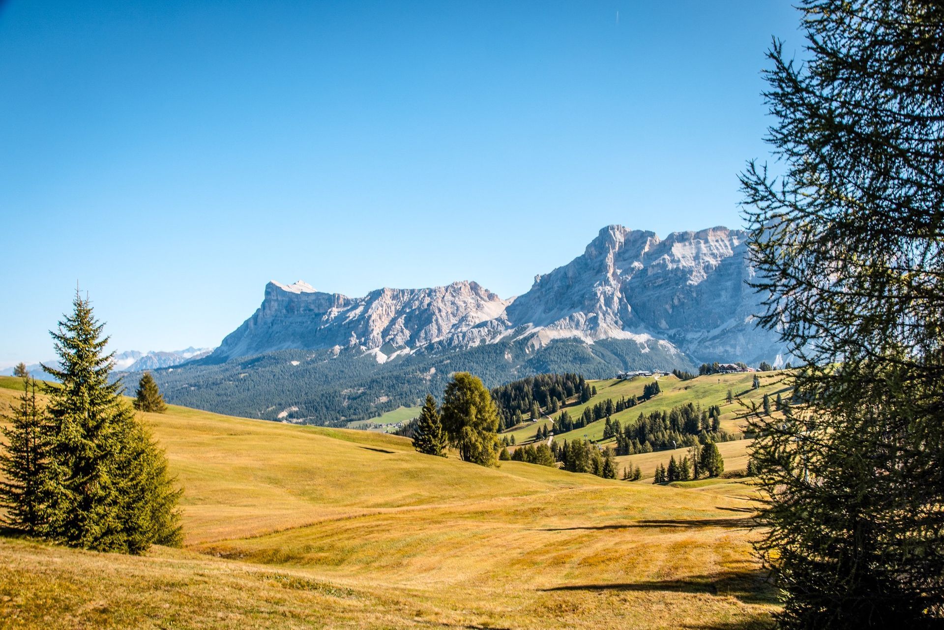 Lush green meadow with a small wooden cabin and distant mountains under a bright blue sky with clouds.