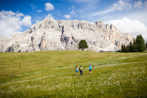 Three hikers walking in a grassy meadow with a mountain backdrop under a blue sky.