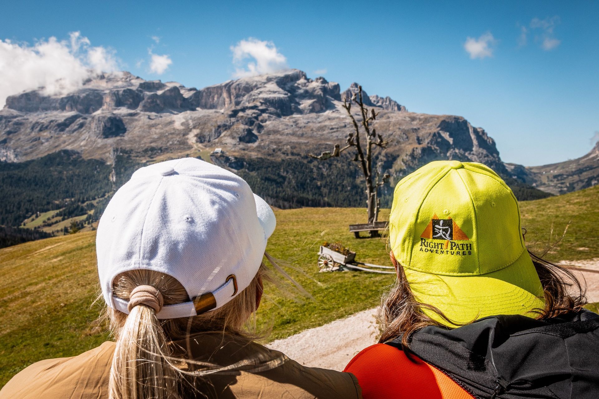 Group of people jumping joyfully in front of towering mountains, sunny day.