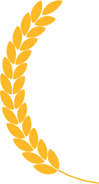 Yellow wheat stalk.