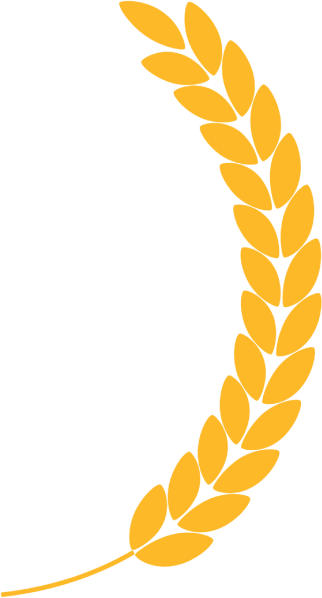 Yellow wheat stalk, curved upwards.