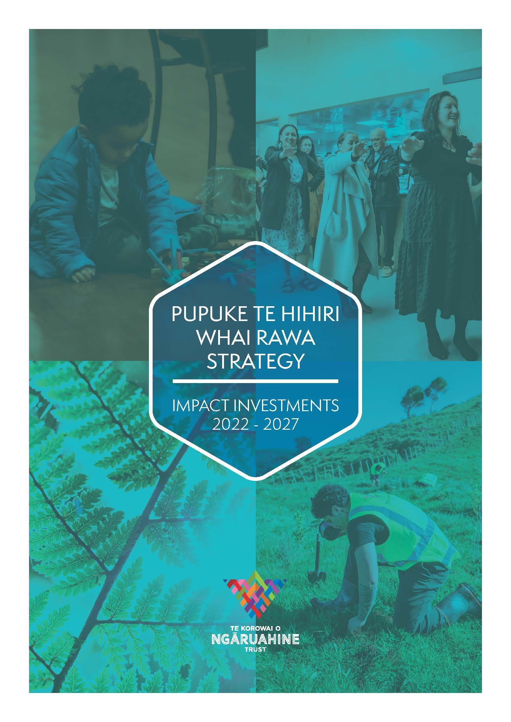 Pupuke te Hihiri Whai Rawa Strategy