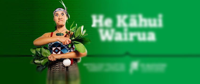 Te Matatini o Te Kāhui Maunga