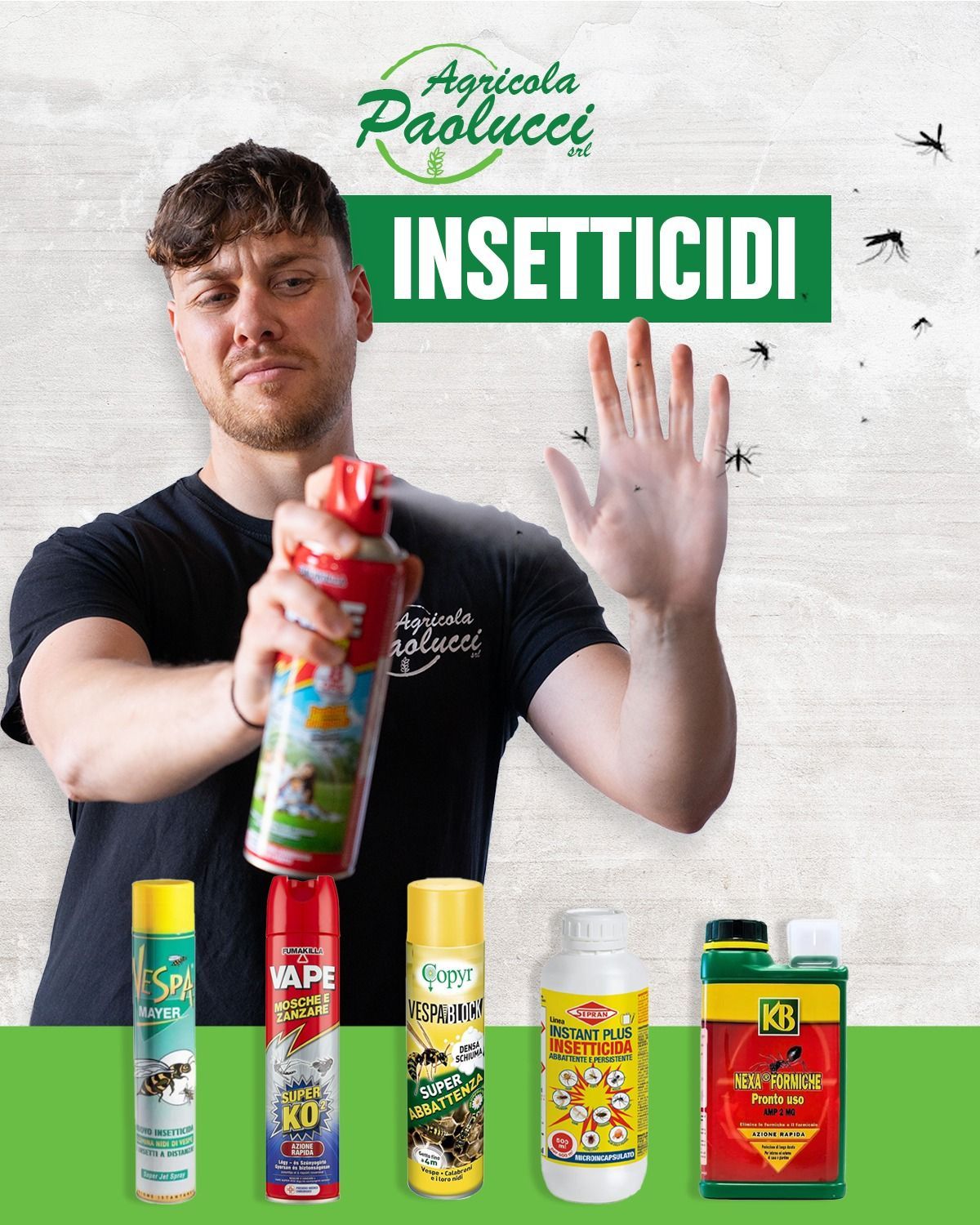 prodotti per la pulizia casalinga