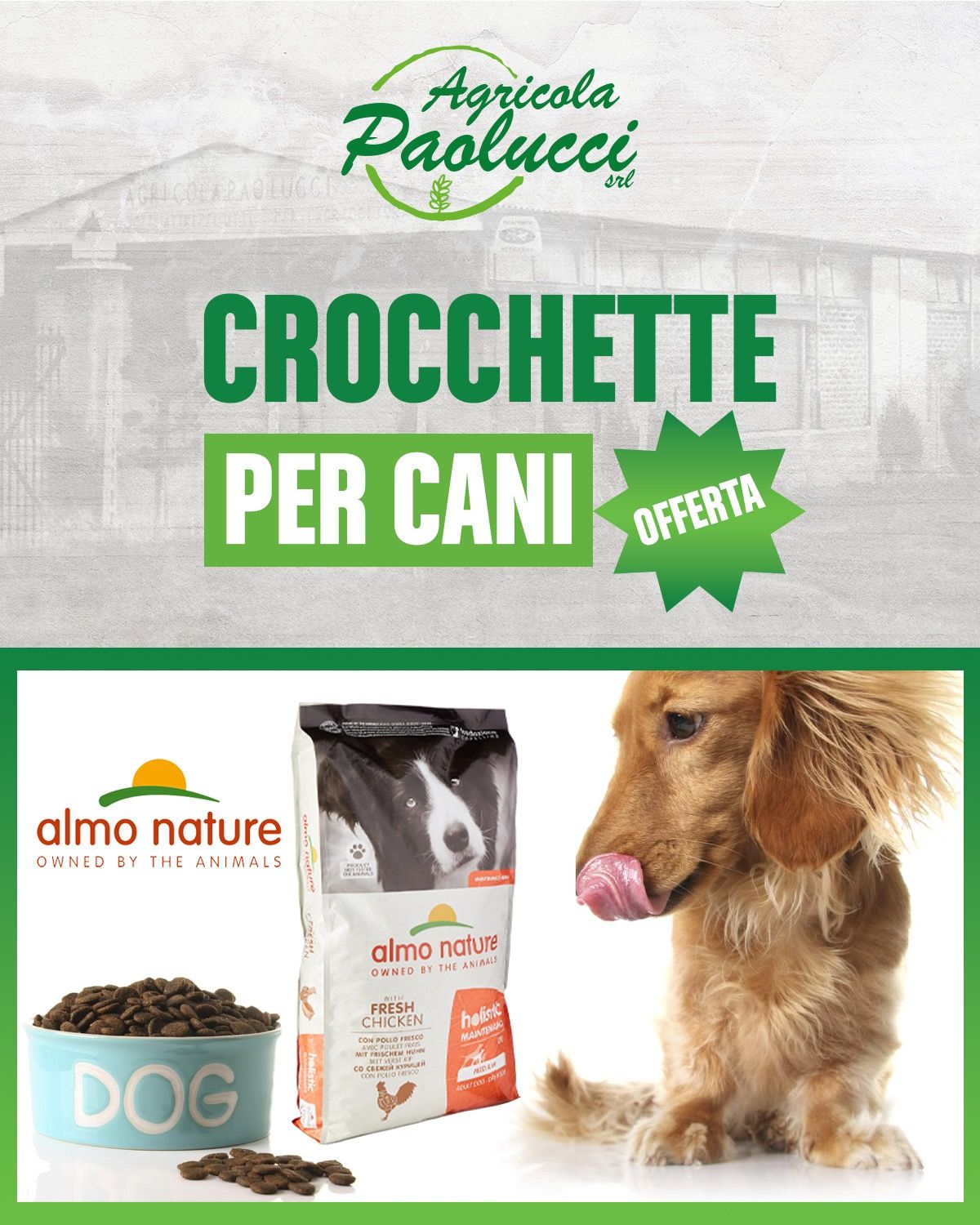 pantaloni nuovo modello