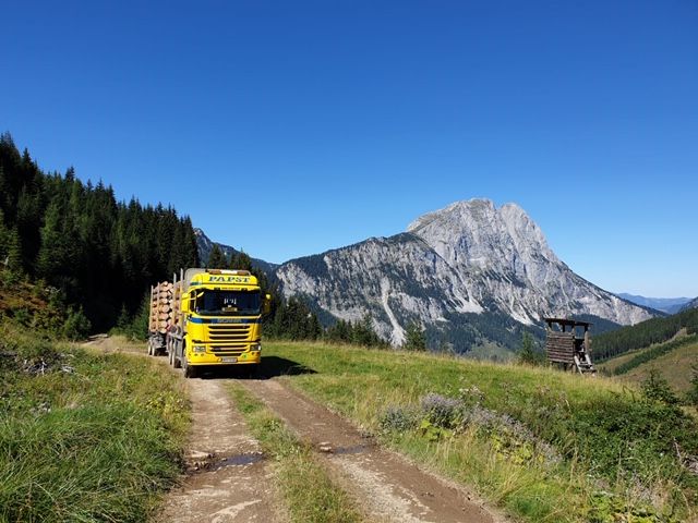 LKW mit Ladekran Anhänger