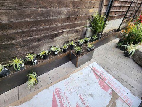 A bunch of potted plants are sitting on a table next to a cardboard box.