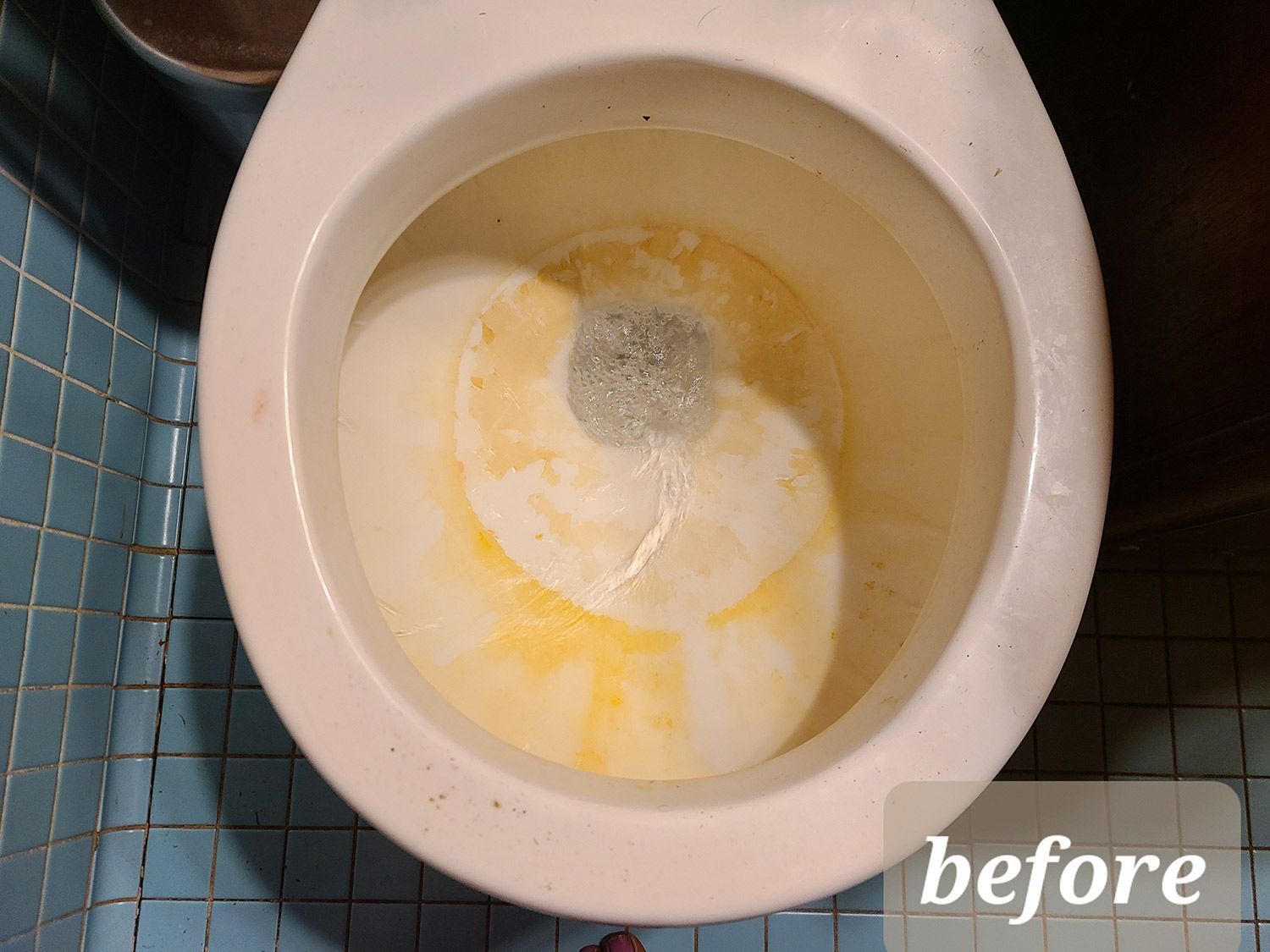 Before Cleaning the Toilet Bowl