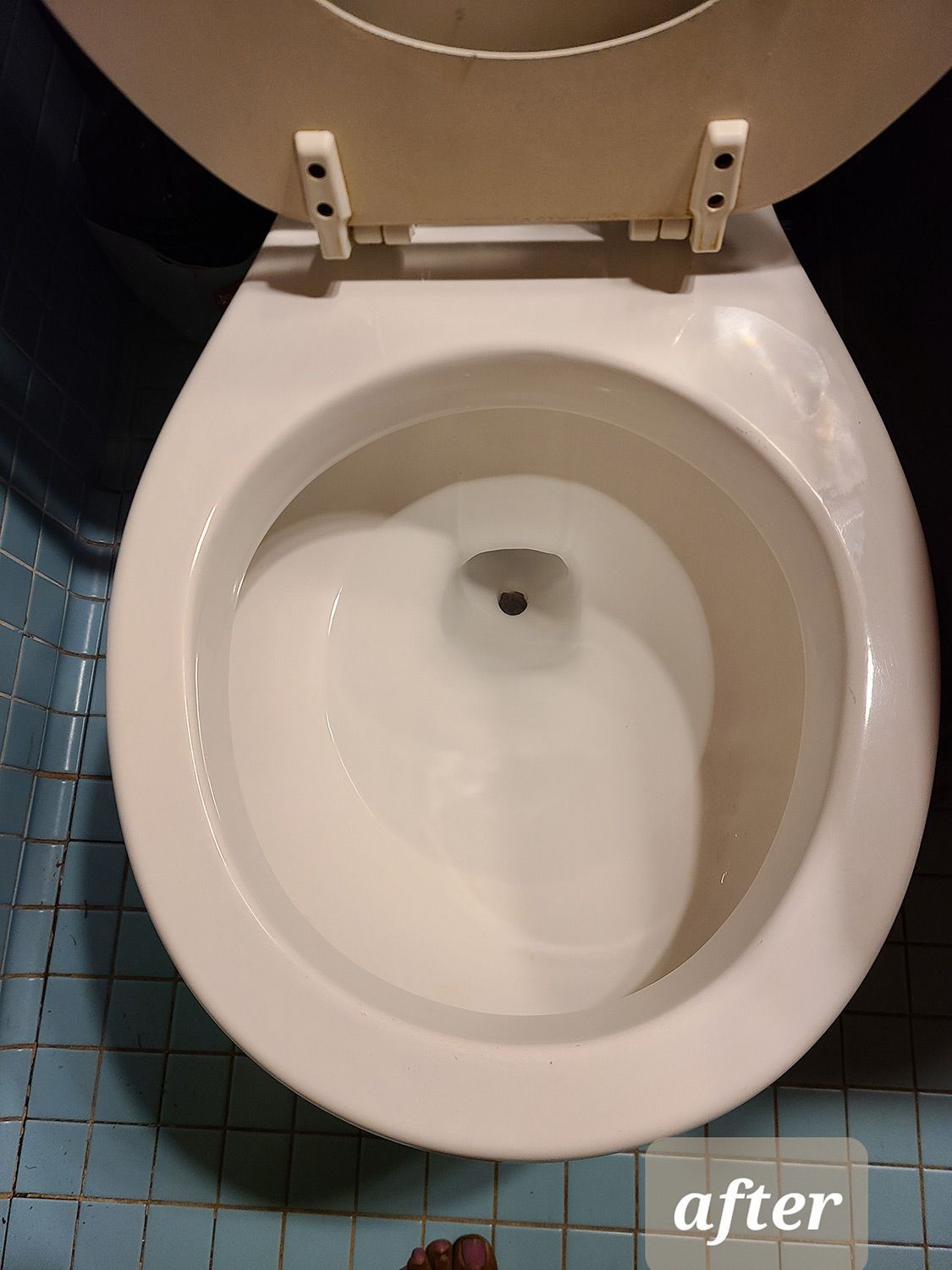 After Cleaning the Toilet Bowl