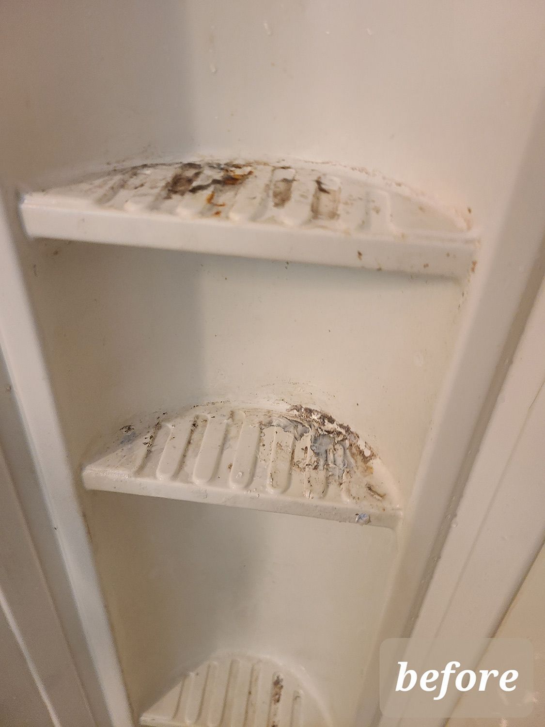Before Cleaning the Shower Corner Shelves