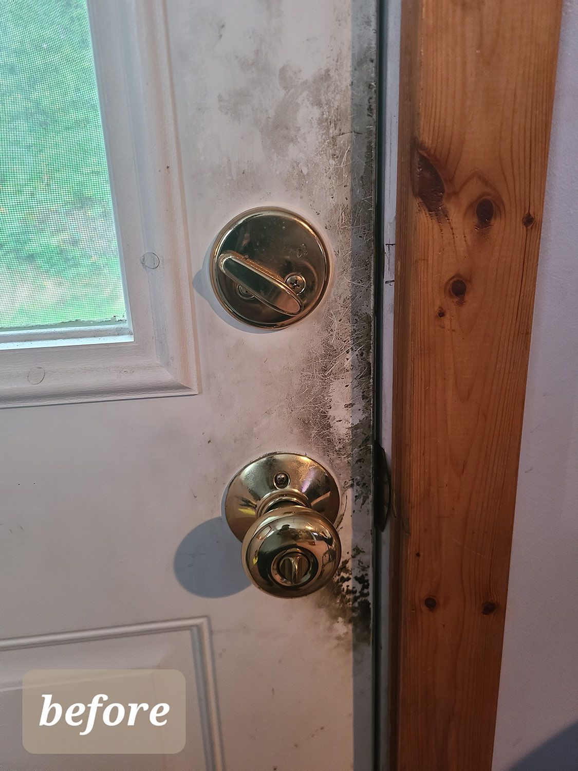 Before Cleaning the White Door