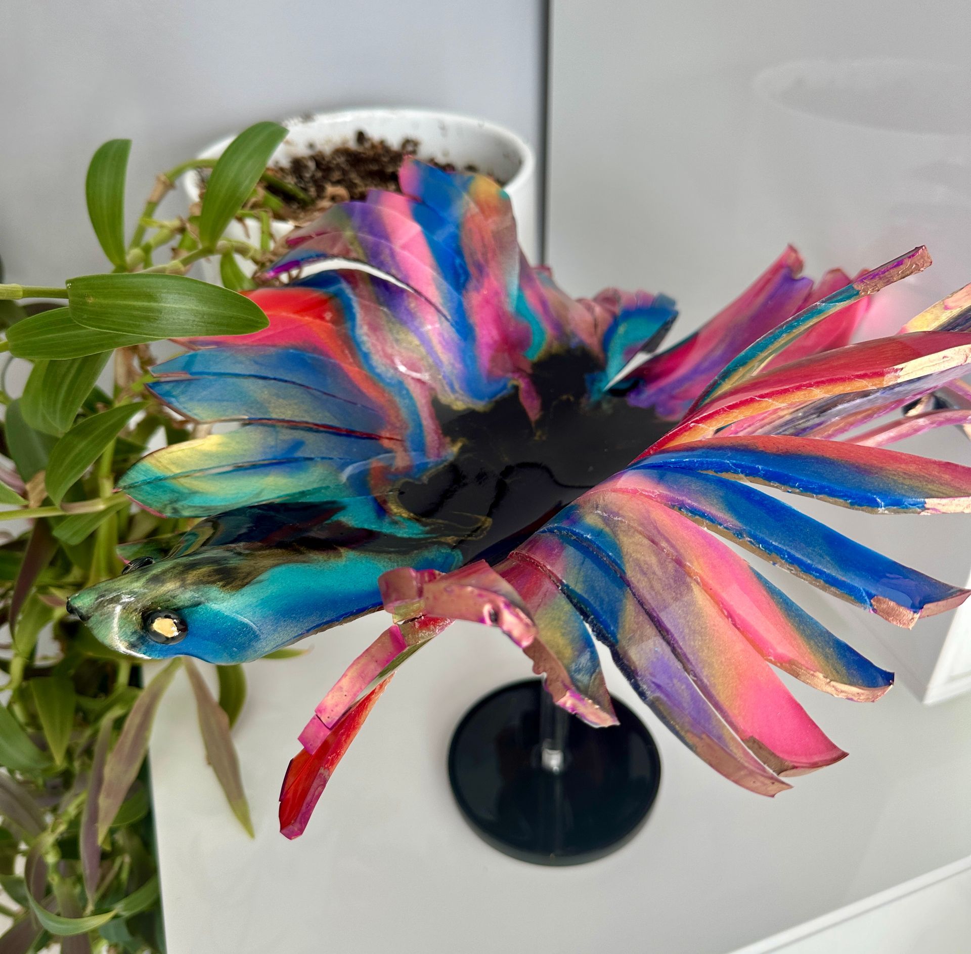 A colorful flower with a black center sits on a table
