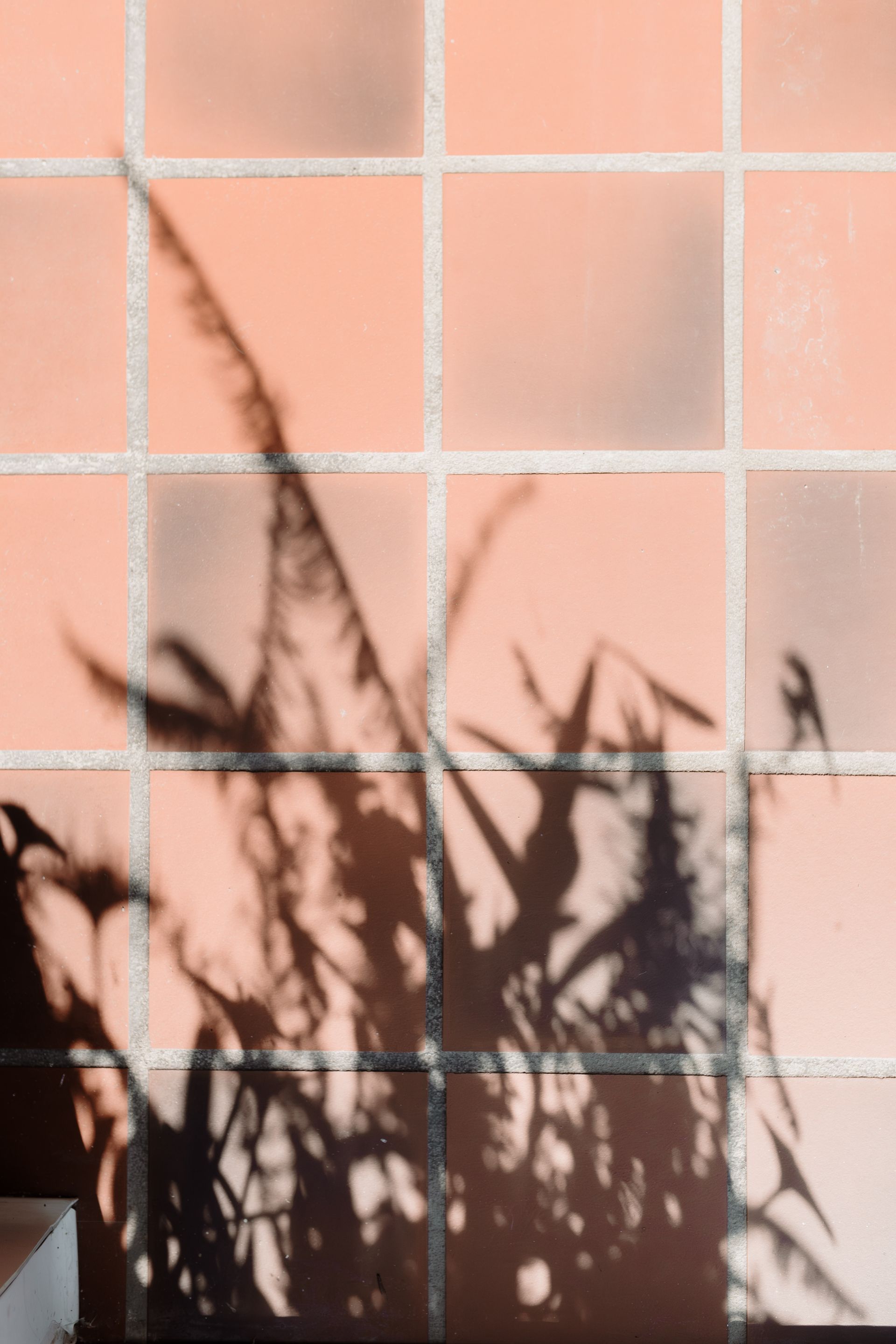 Shadows of a plant on exterior tile. Apartment in Northeast Minneapolis by RightMove Properties.