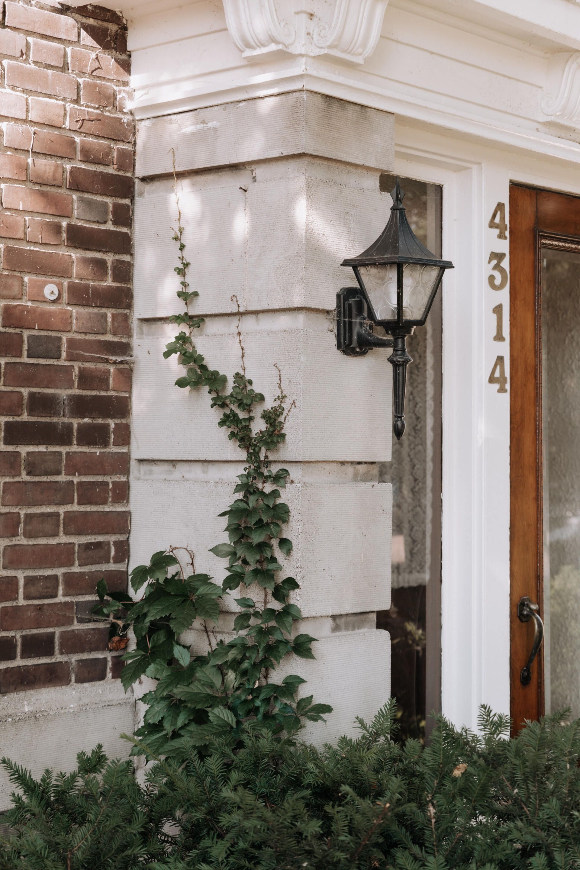 Dark green ivy climbing up an vintage brick building, featuring a dark brass sconce. South Minneapolis apartments by RightMove Properties.