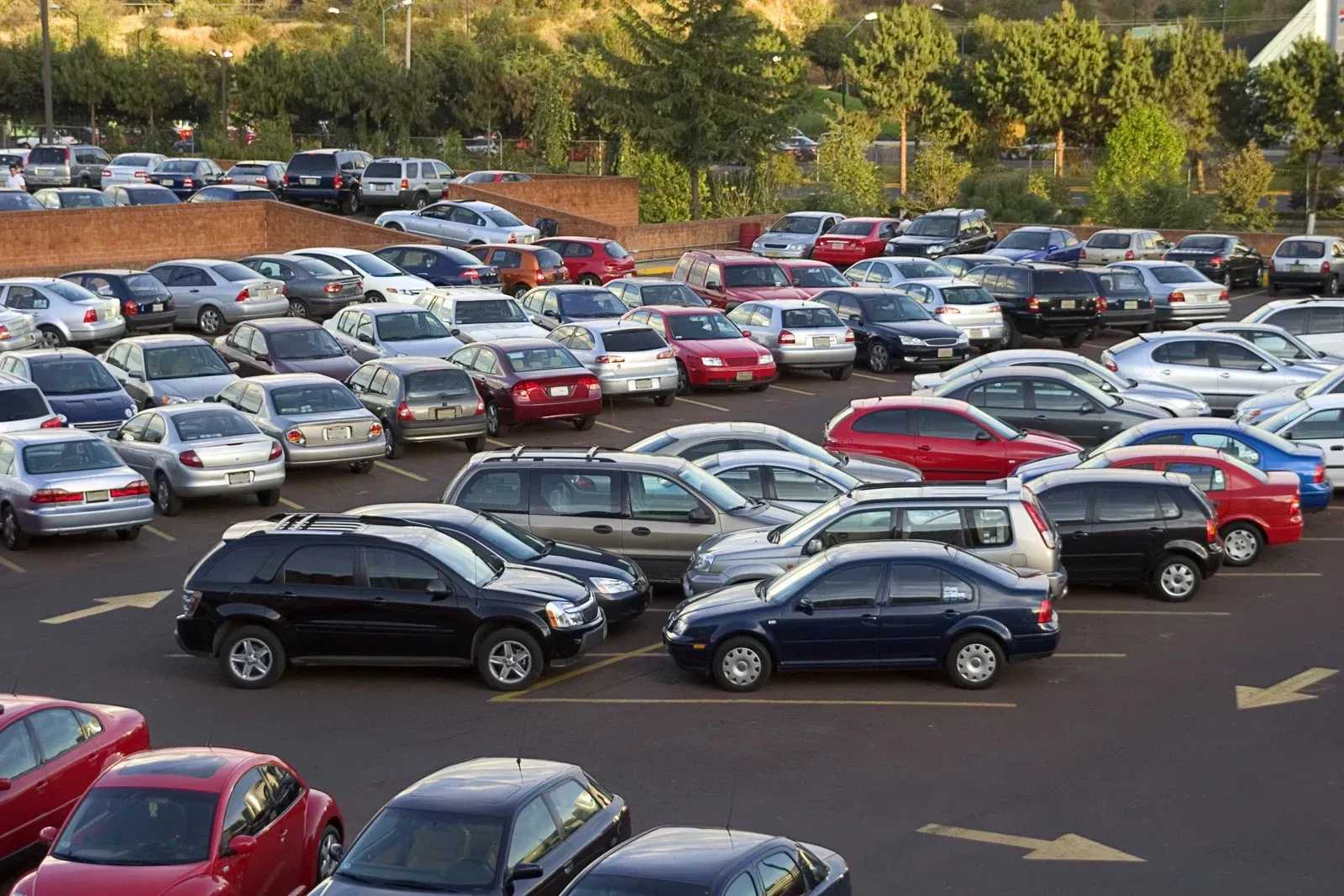 Cars parked in a full parking lot, arrows indicate direction, trees in the background.