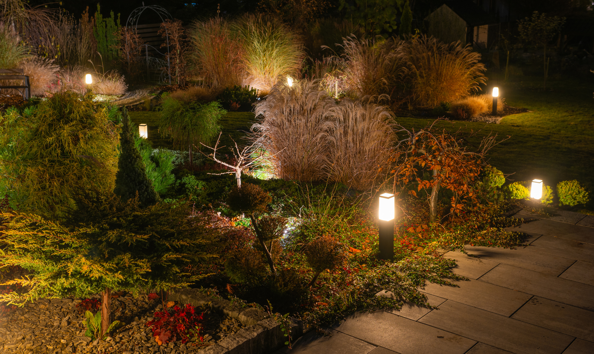 Nighttime garden scene with illuminated plants and pathway lights.