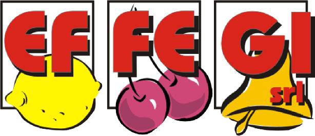 EFFEGI Logo