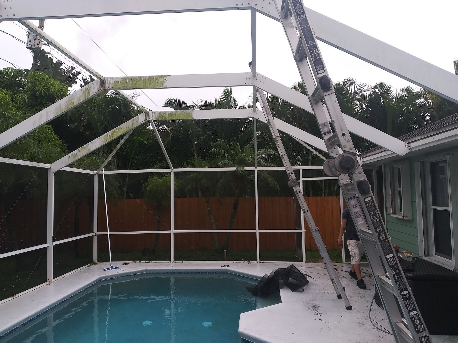 A screened in pool with a ladder in front of it