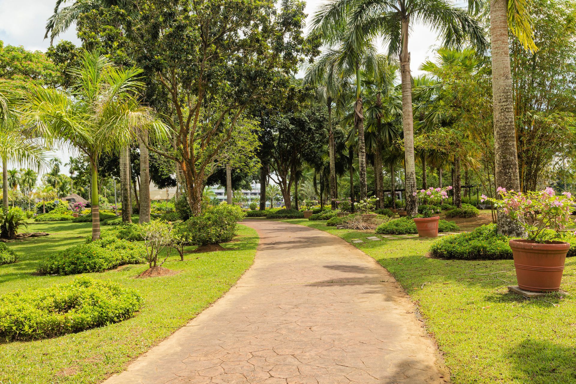 A walkway at a tropical park.